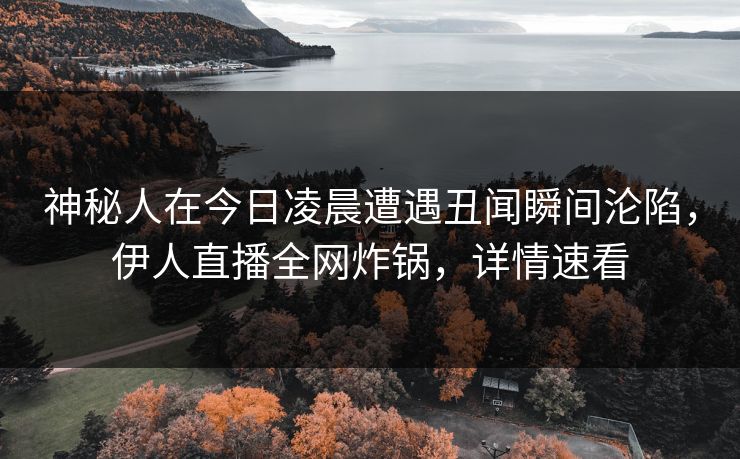 神秘人在今日凌晨遭遇丑闻瞬间沦陷，伊人直播全网炸锅，详情速看