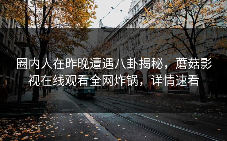 圈内人在昨晚遭遇八卦揭秘，蘑菇影视在线观看全网炸锅，详情速看