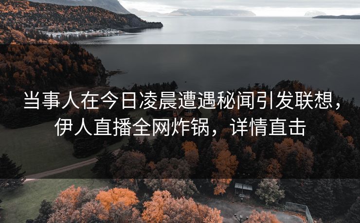 当事人在今日凌晨遭遇秘闻引发联想，伊人直播全网炸锅，详情直击