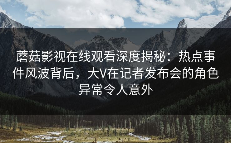 蘑菇影视在线观看深度揭秘：热点事件风波背后，大V在记者发布会的角色异常令人意外