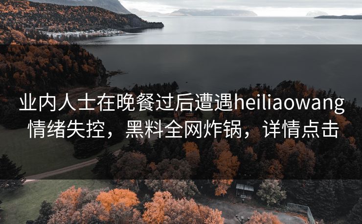 业内人士在晚餐过后遭遇heiliaowang 情绪失控,黑料全网炸锅,详情点击 业内人士在晚餐过后遭遇heiliaowang 情绪失控,黑料全网炸锅,详情点击