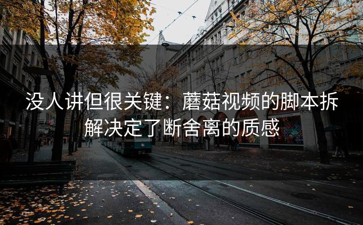 没人讲但很关键：蘑菇视频的脚本拆解决定了断舍离的质感